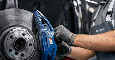 BMW Service 5+